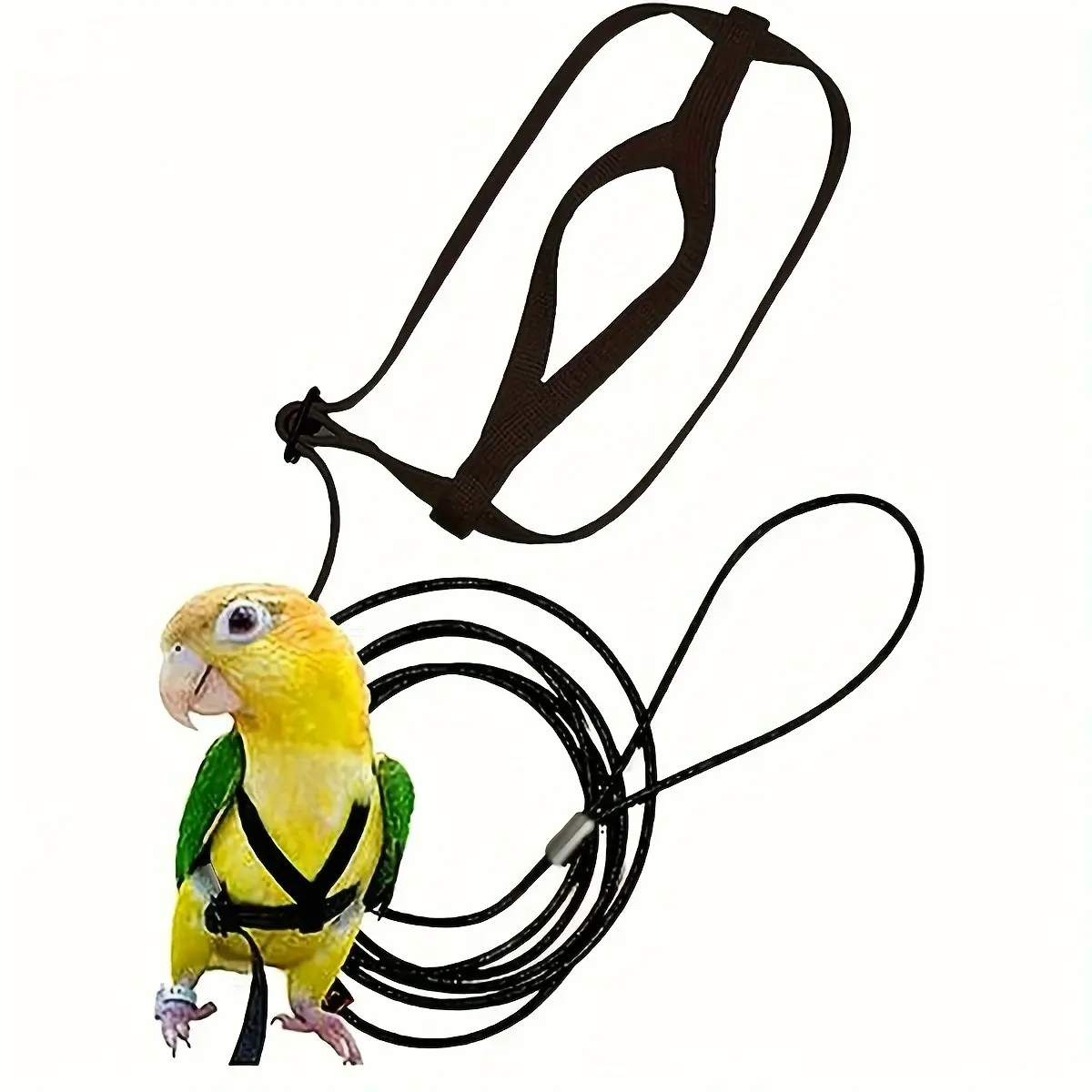 Parrot Harness Flying Rope, 1 Count Bird Outing Training Leash, Creative Bird Supply