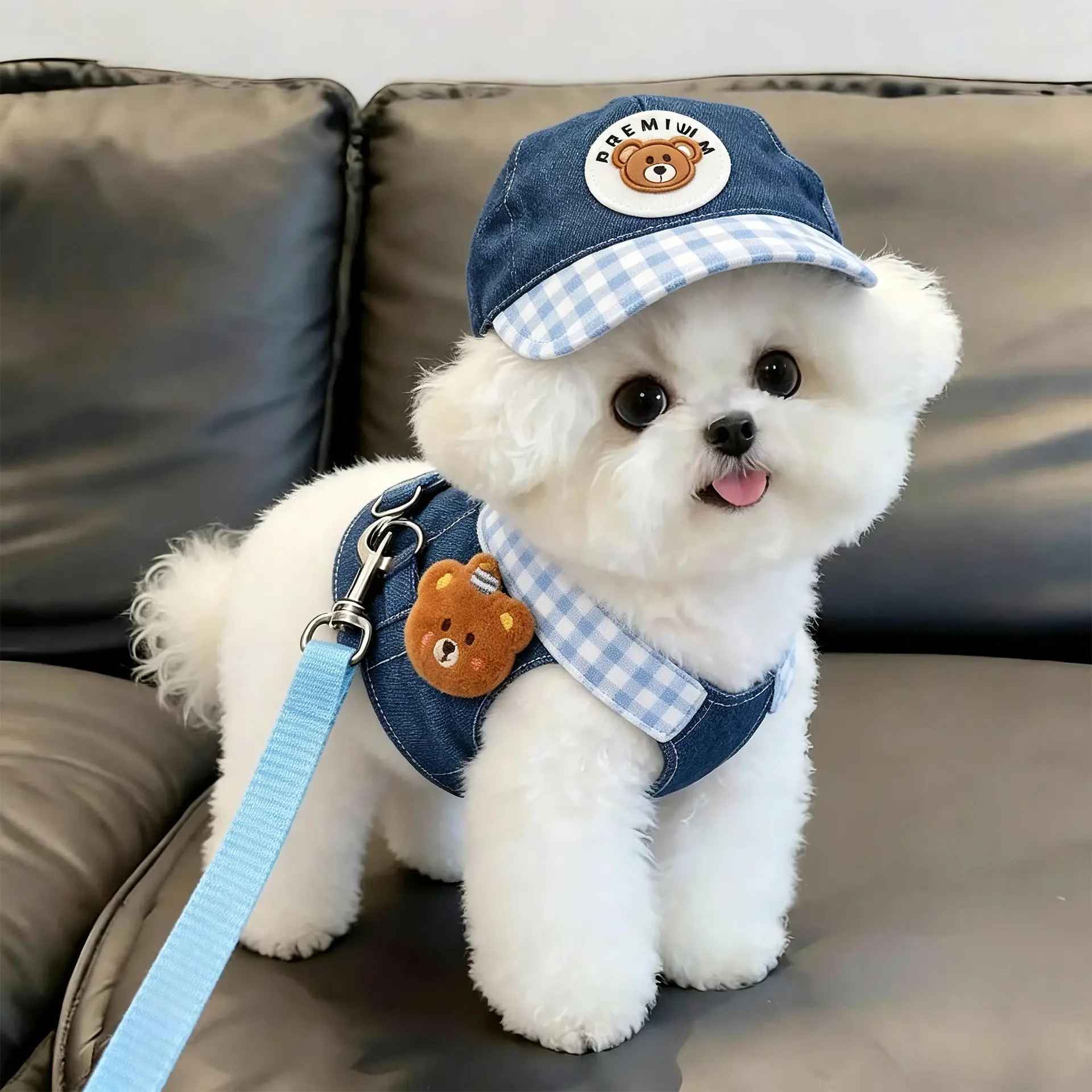Dog clothes cat denim chest and back set, cute sun hat, cat going out special pet traction