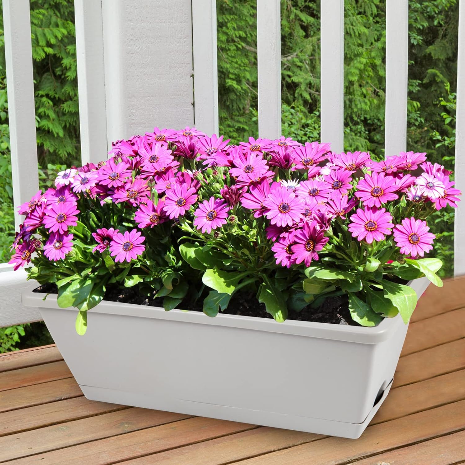8 count Window Box Planter, 17 Inches Flower Window Boxes, Rectangle Planters Box with Drainage Holes and Trays, Plastic Vegetable Planters for Windowsill Patio Garden Decor Porch Yard (Grey) 8 count Window Box Planter, 17 Inches Flower Window Boxes, Rectangle Planters Box with Drainage Holes and Trays, Plastic Vegetable Planters for Windowsill Patio Garden Decor Porch Yard (Grey)