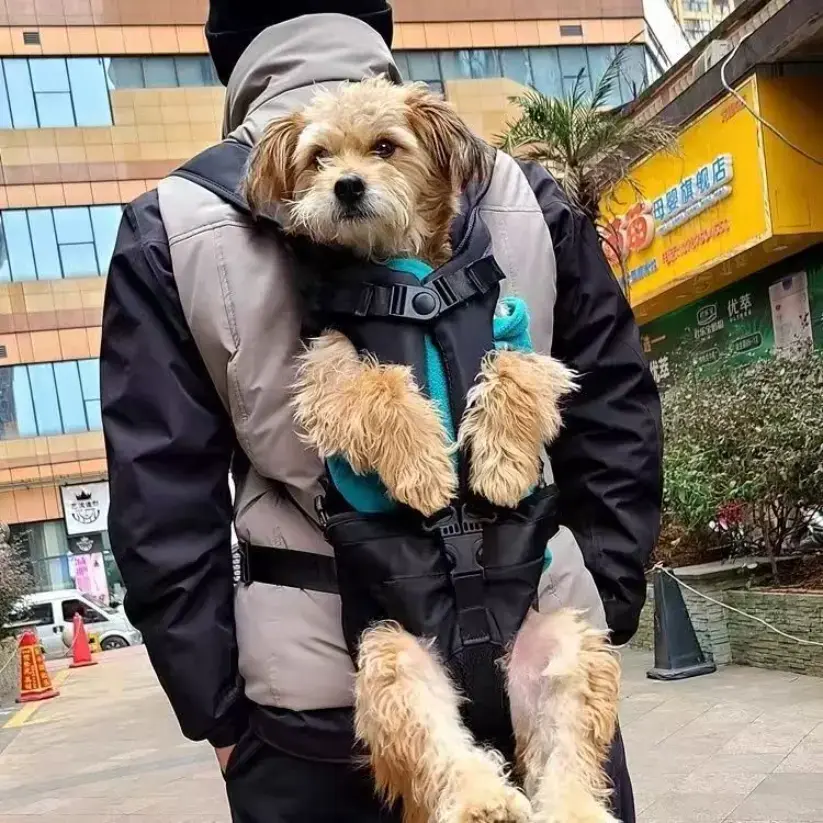 1PC Adjustable Pet Front Dog Carrier Backpack for Hiking, Cycling