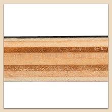 skateboard carry Skateboards for Beginners,31 * 8 inches Complete Skateboards for Kids,Boys,Girls and Adults,7 Layer Maple Wood,Double Kick Deck Concave Standard and Tricks Skateboard skater  xl