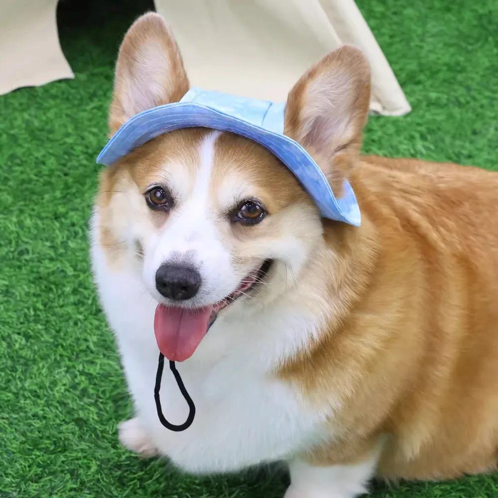 Dog Cotton Sun Hat With Ear Holes Round Brim Puppy Kitten Bucket Hat Outdoor Sun Protection Pet Caps for Small Medium Cat Dogs