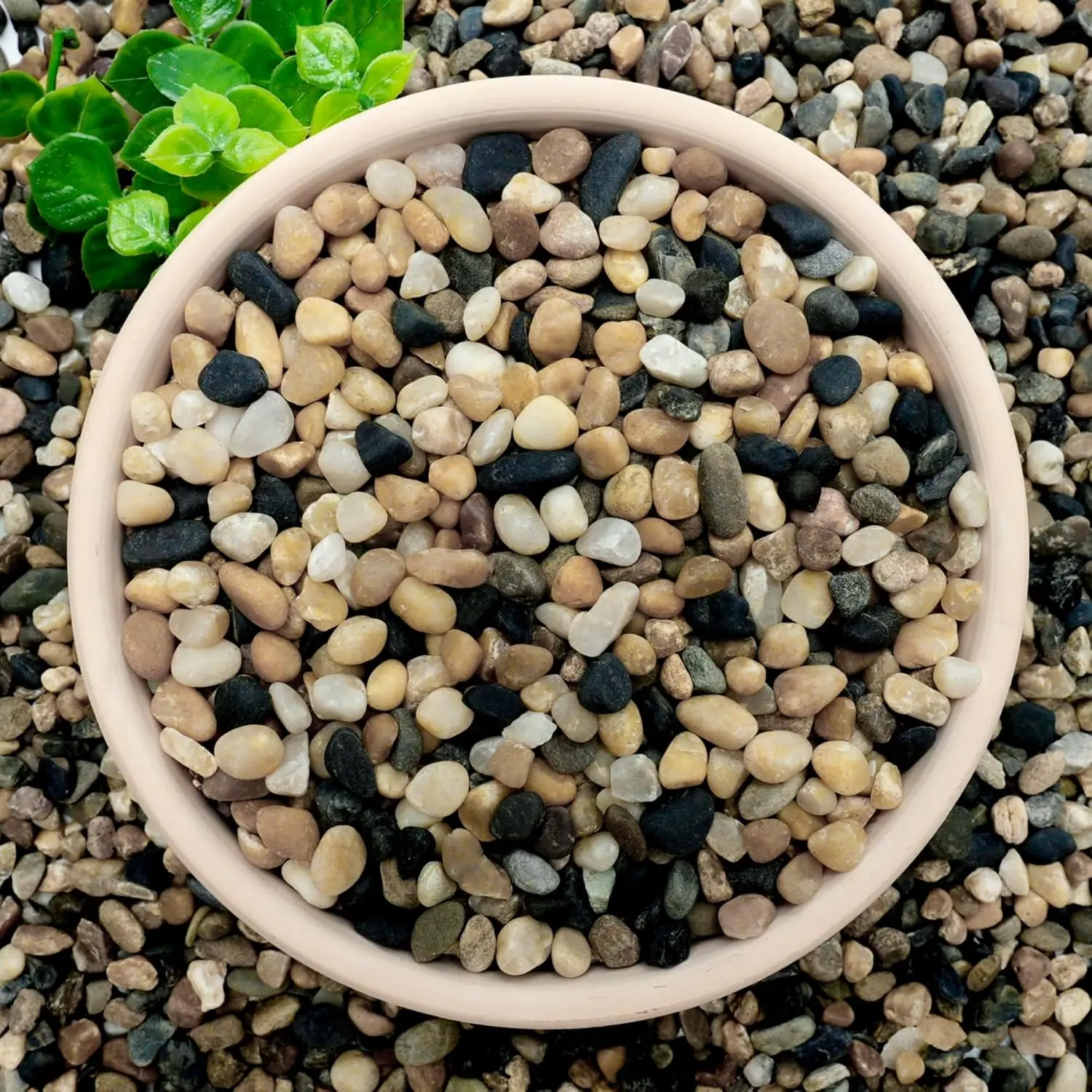 3 lb Aquarium Gravel, 1/4" Ph- Pea Gravel for Fish  | Small River Rocks for , Decorative Aquarium  for Vase, Landscaping, Succulent, Cactus, Terrarium, Bird Bath