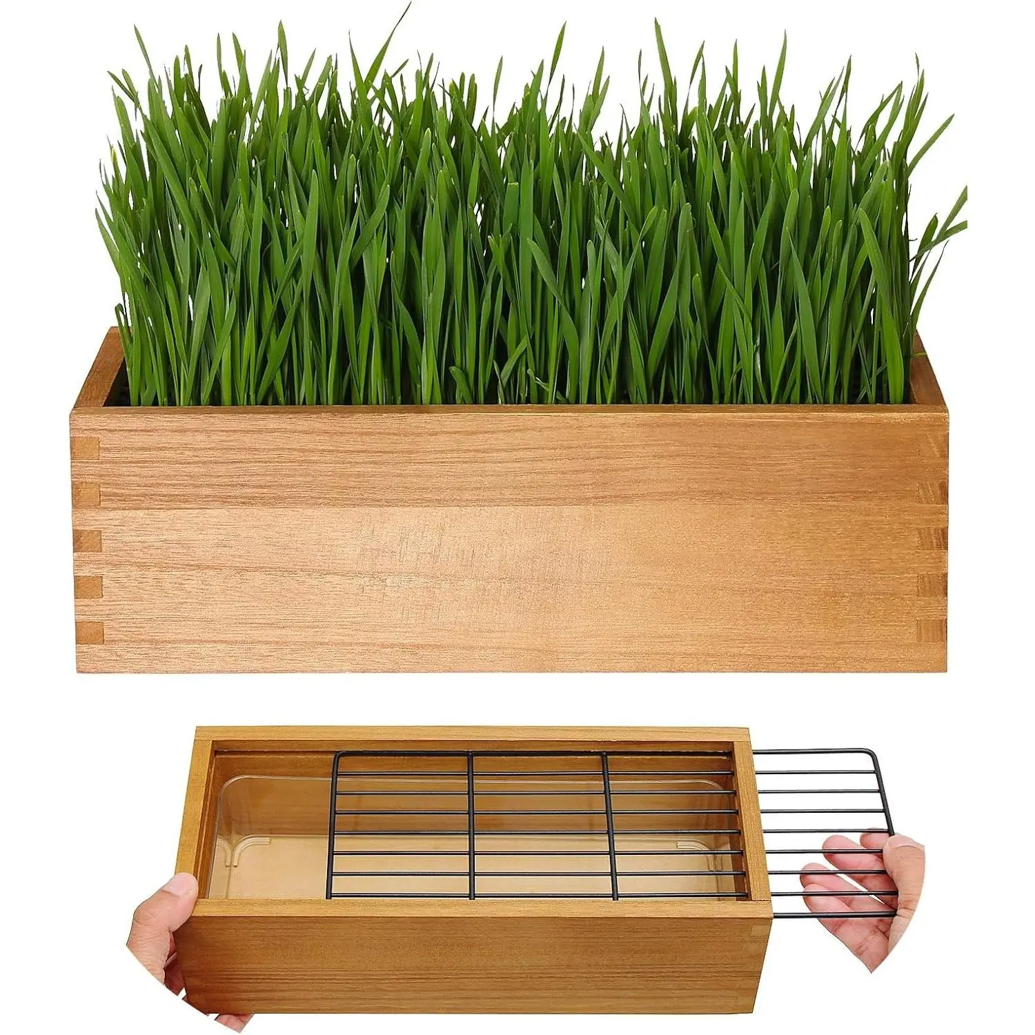 Wooden Cat Grass Planter (no Seeds Included) with Potting Soil Disks, Anti-Digging Grid and Removable Plastic Liner, Wheat Grass Growing Pot, Cat Grass Kit for Indoor Cats Pets (Aged Yellow)
