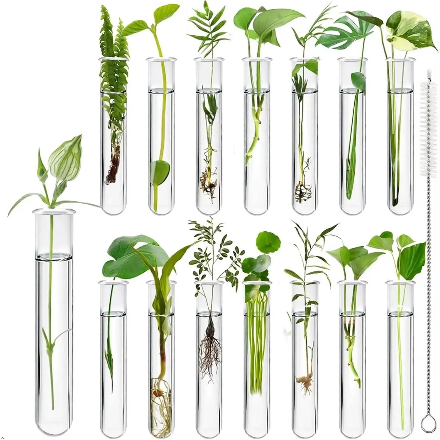 15Pcs Glass Tubes for Plants, Plant Propagation Tube Test Tubes for Scientific Experiments 20 ml Glass Test Tubes for Hydroponic Plants, Home Office Wall Decor (12cm)
