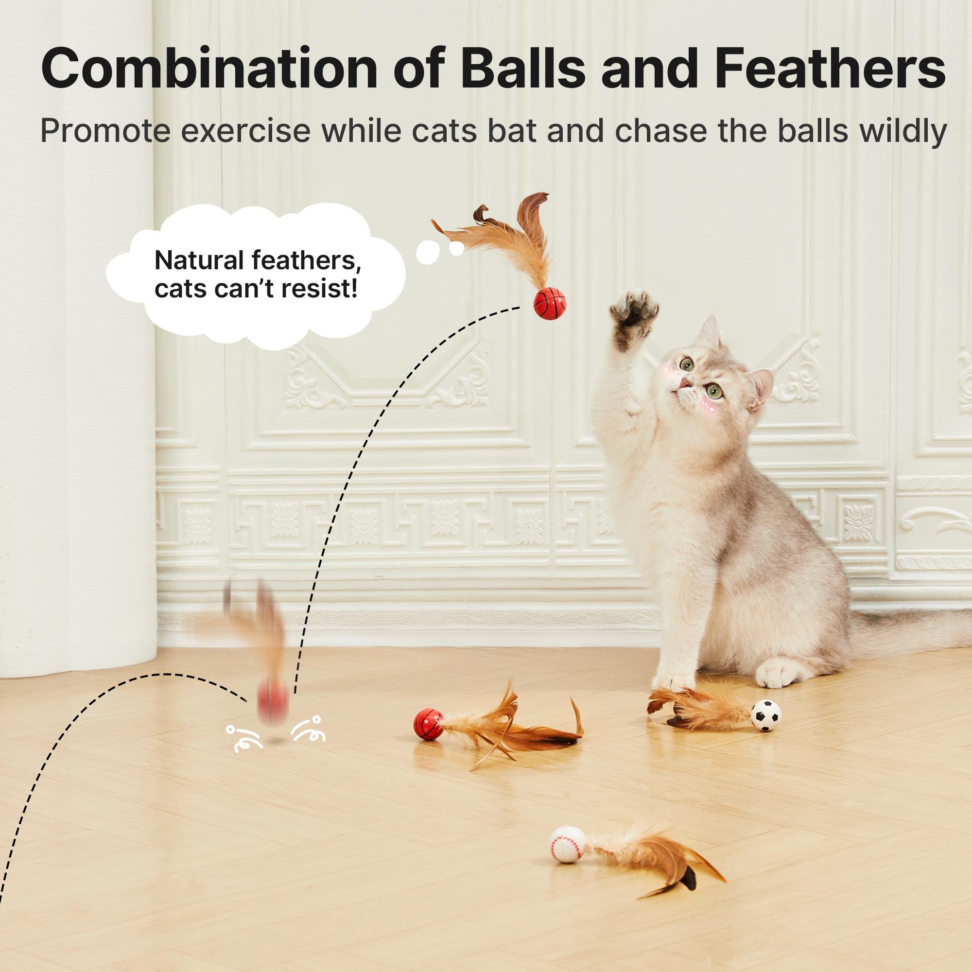 Cat Toys Pack for Indoor Cats, 28PCS Interactive Kitten Accessories with Feather Balls, Mice, Colorful Springs – Starter Kitten Toy Stuff Set, Bored Kitty Must-Have Supplies