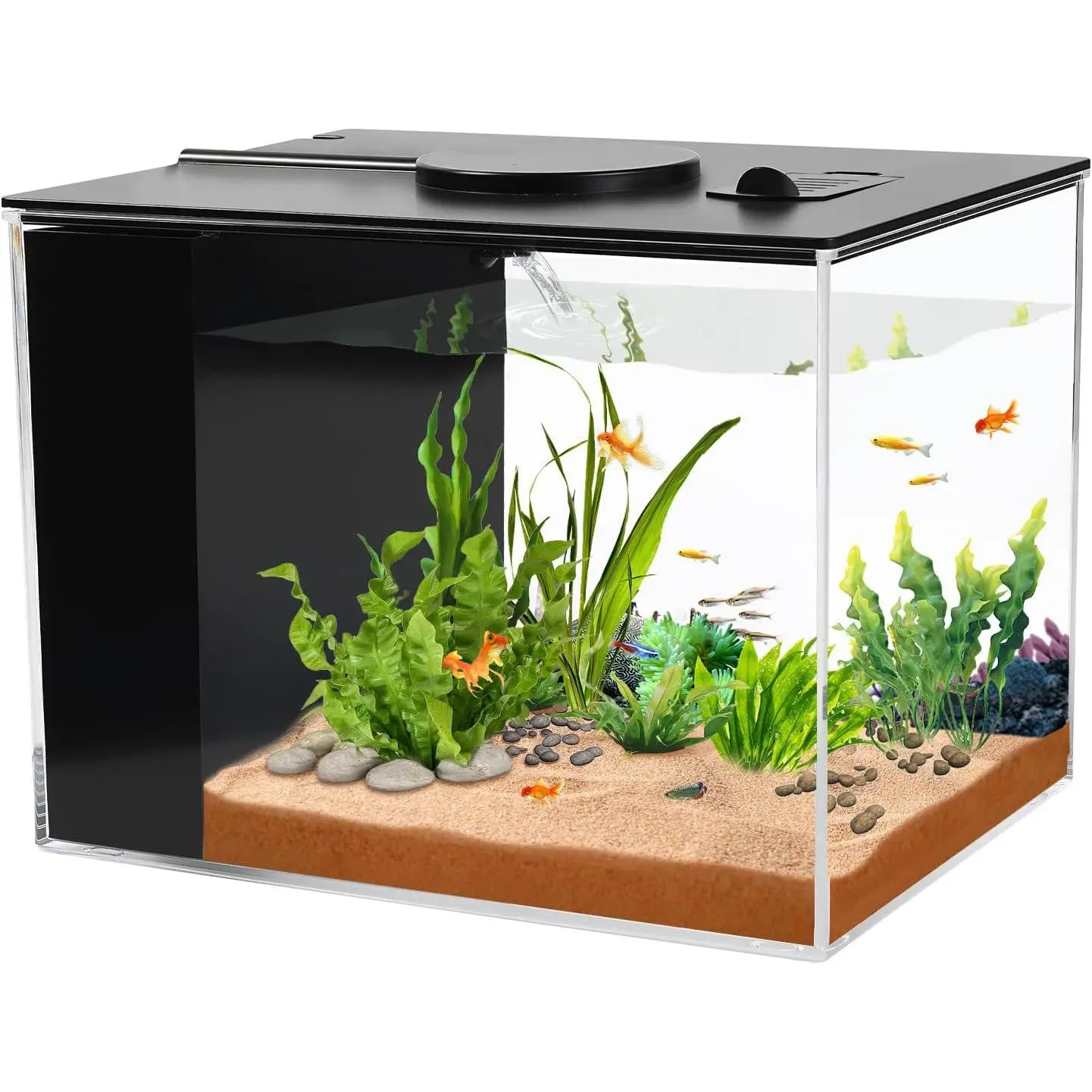 1 Gallon Betta Small Fish Tank Aquarium Kit with LED Light and Water Filter Pump