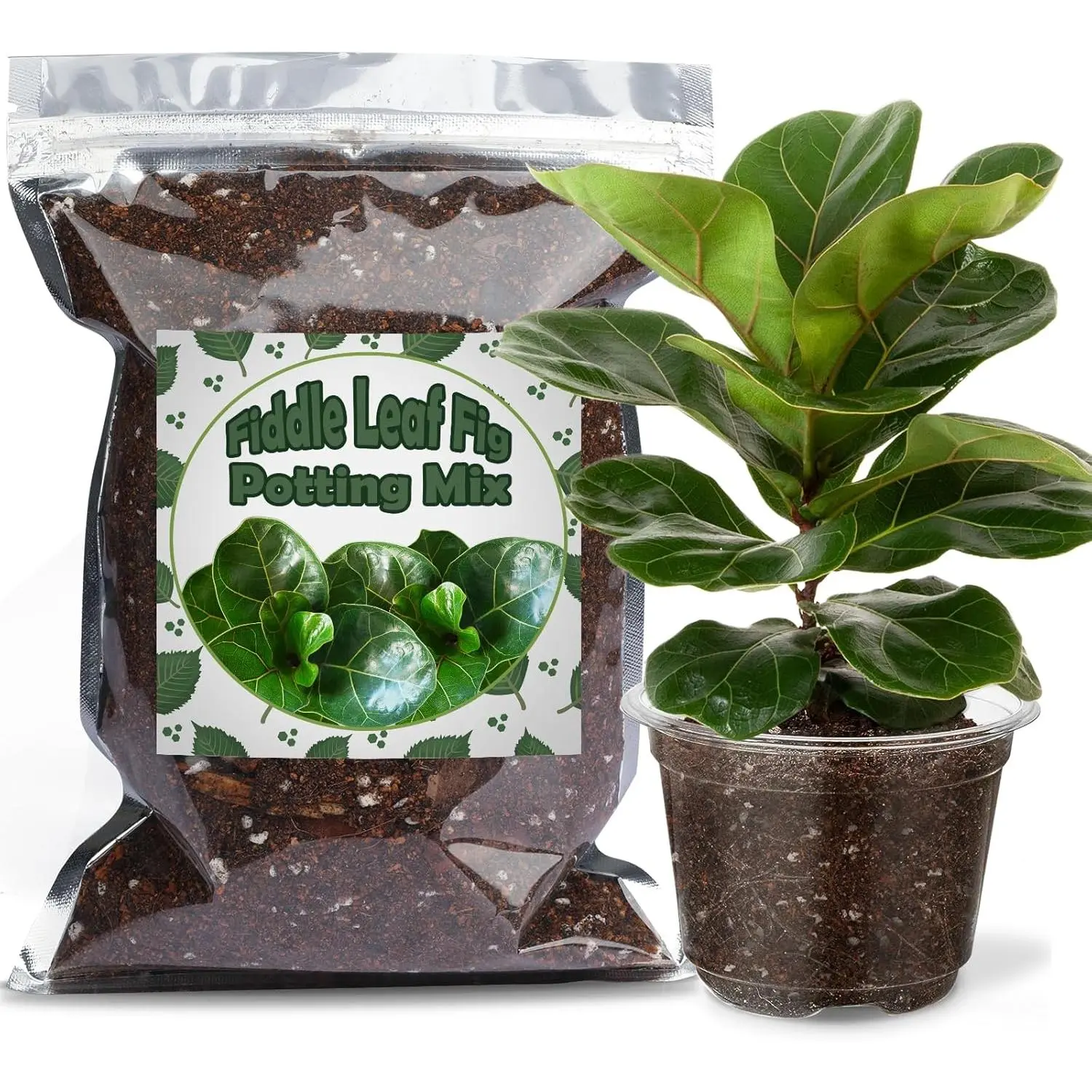 Fiddle Leaf Fig Potting Mix 1qt, Indoor  Potting Mix for  Potted Ficus Lyrata , Grow  houseplants Indoors
