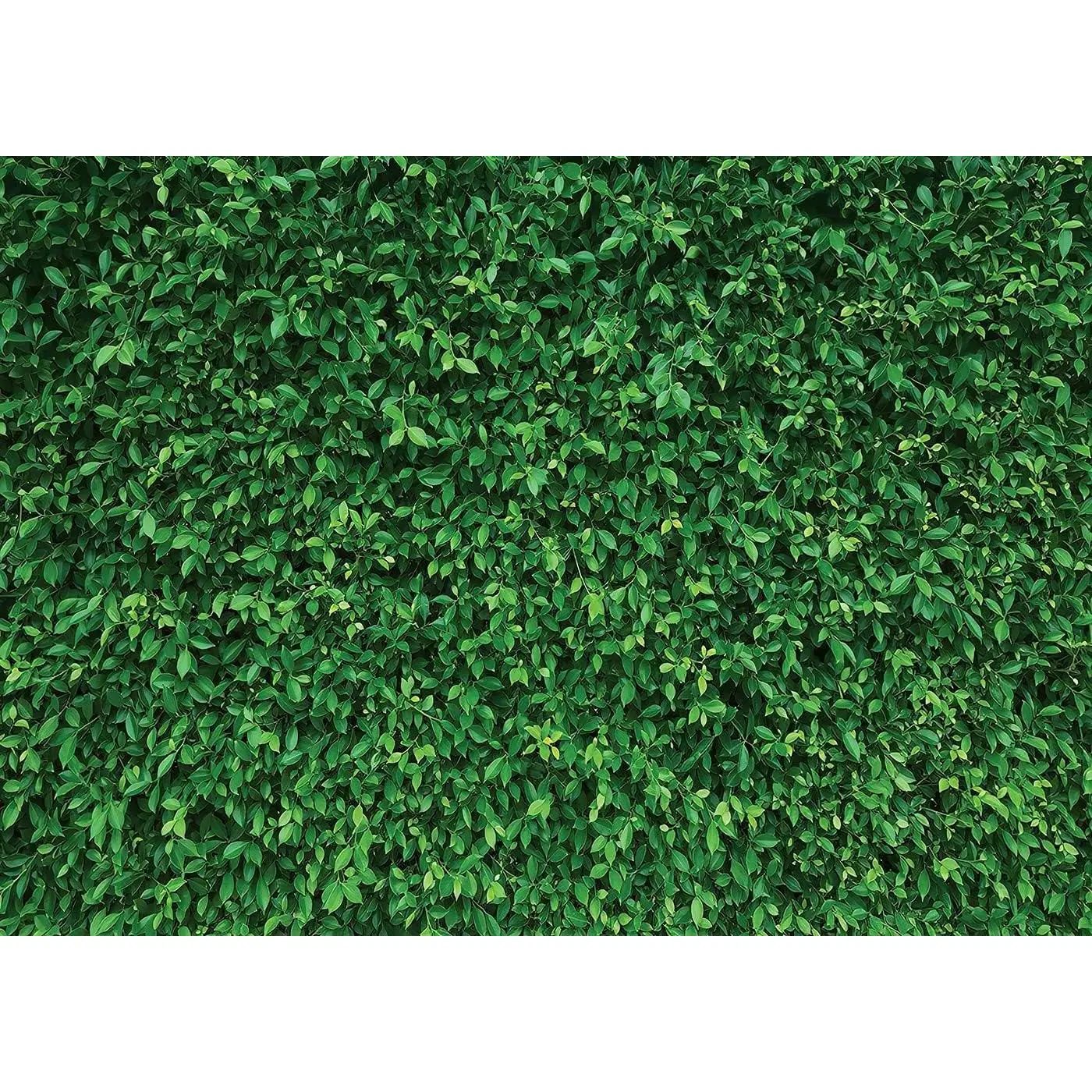 7X5FT Green Leaves Nature Birthday Party CP Pictorial Cloth Photography Background -Printed Vinyl Backdrop PCK39