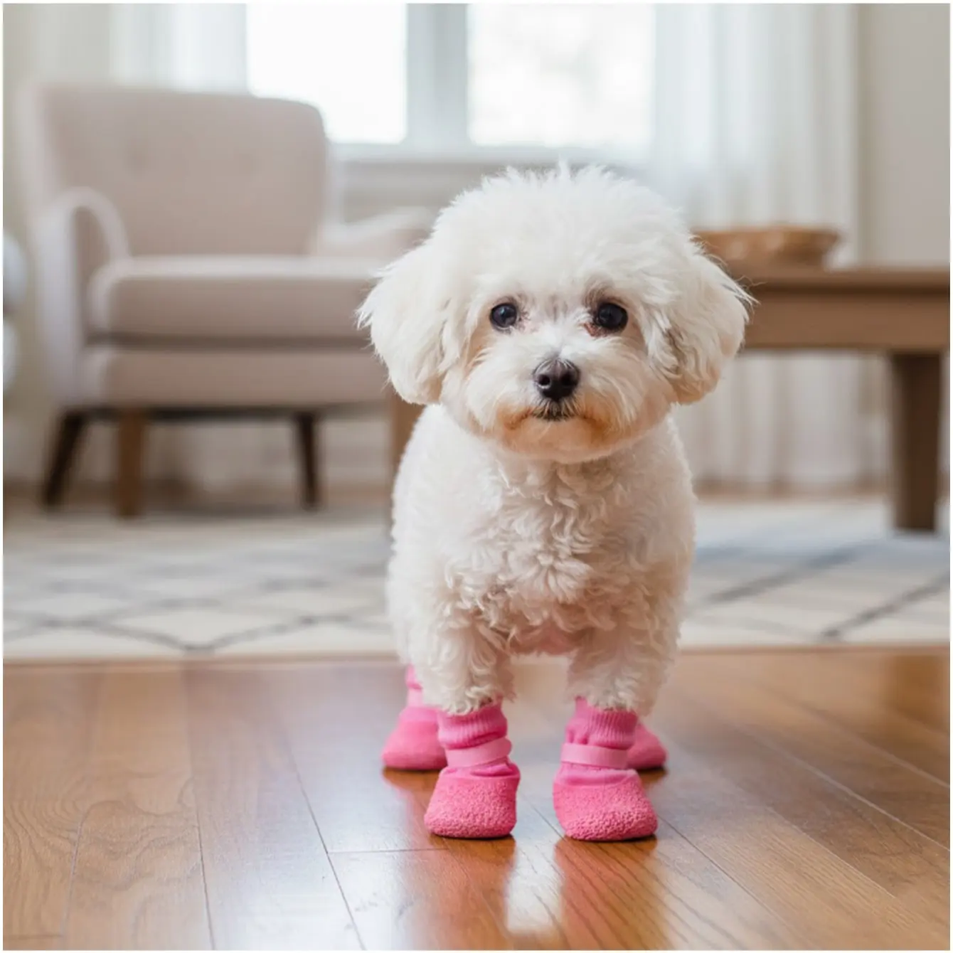 4pcs Dog Boots, Non-Slip Soft Sole Durable Pet Shoes, Waterproof for Shiba Inu, Poodle, Corgi, Rainy Day Pet Footwear