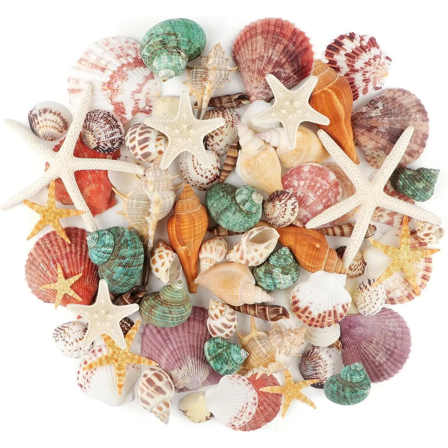 Mixed Ocean Seashells & Natural Starfish, 1.2"-3.5" Various Sizes for Vase Fillers, Fish Tank, Beach Themed Party, Home Wedding Decorations, DIY CraftsGift