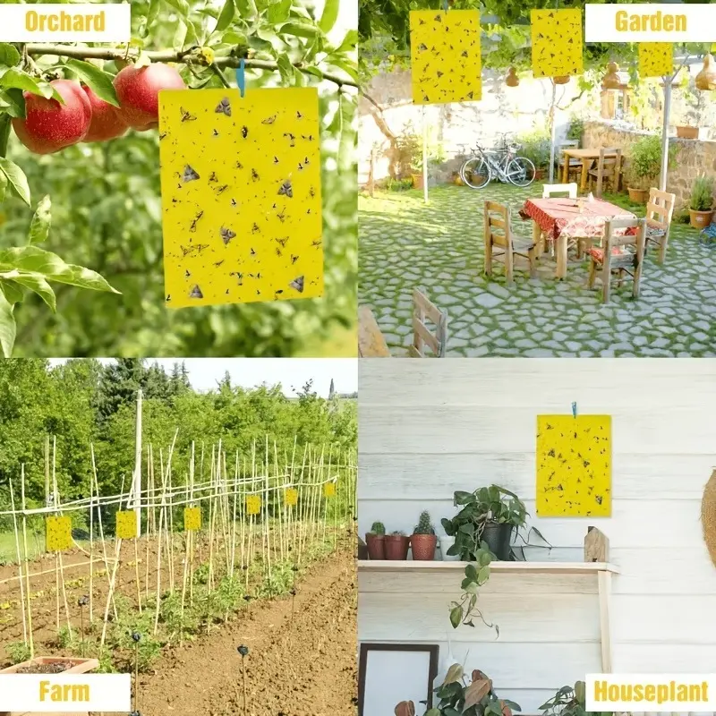 Yellow insect trap, double-sided fly trap, suitable for pest control on farms, in gardens, vegetable patches, orchards, and backyards, as well as for trapping insects indoors and outdoors.