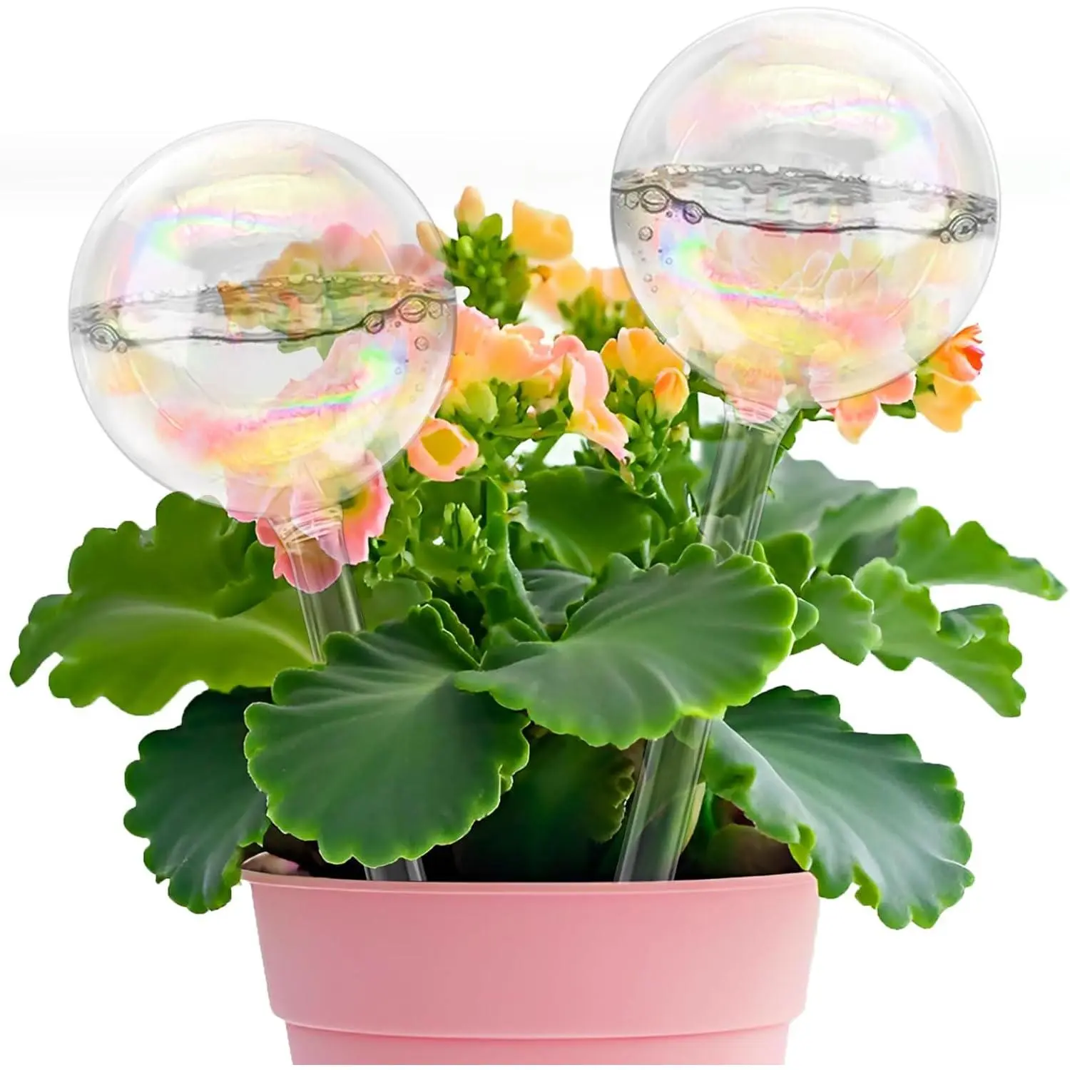 2 Pack Iridescent Glass  Watering Globe,Automatic Self-Watering Bulbs for Indoor Outdoor -Hand-Blown Glass Watering Stakes for  Garden Decor-Ideal  for  Lovers,,Pots