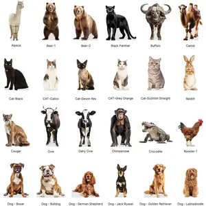 Life Size Cardboard Cutout Standup with Support Standee Animals