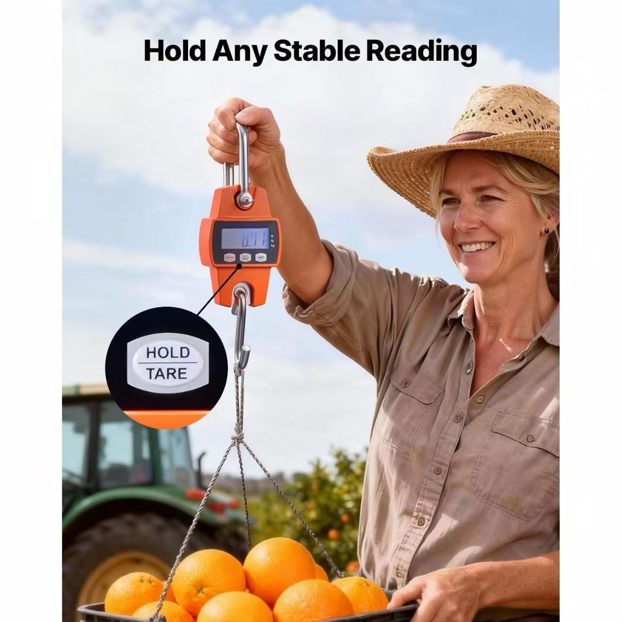 Digital Crane Scale, 660 lbs/300 kg Max Capacity, Handheld Hanging Scale with Cast Aluminum Case & LCD Display, 0.1 lbs Division & 3 Unit Switch, Portable Design for Farm Hunting Fishing, Orange