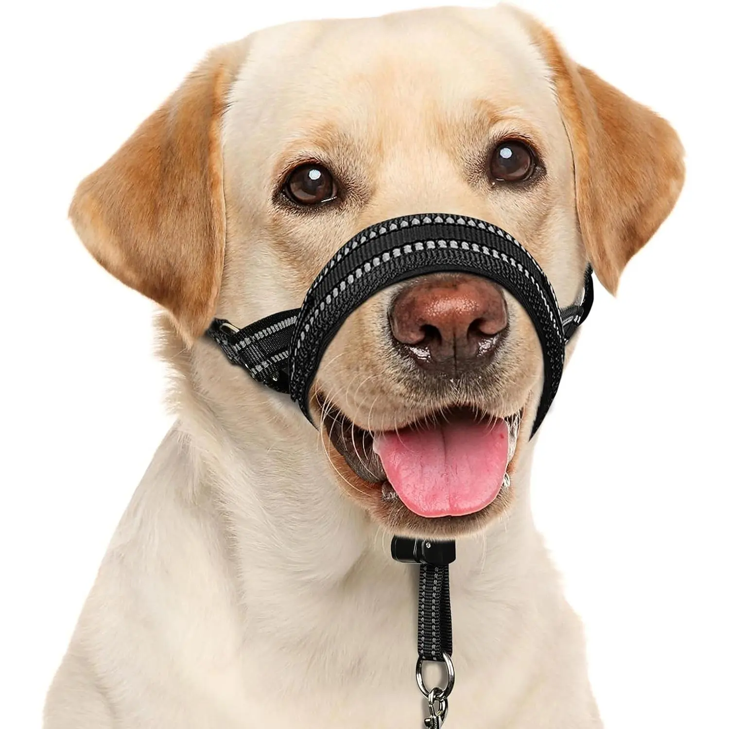 Soft Dog Head Collar, Patented Padded No Pull Head Halter, Training Nose Leash with Safety Link for Medium Large Dogs, Adjustable Muzzle Leash, Easy Control for Walking(Black, M)