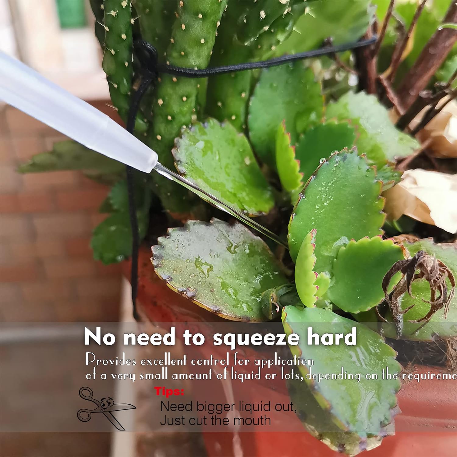 Plastic Squeeze Bottle Leak Proof, 250ml | 8.5oz White Wash Bottle , LDPE, Safety, with Narrow Mouth Scale Labels for Succulent Label Watering (1 Bottle) Plastic Squeeze Bottle Leak Proof, 250ml | 8.5oz White Wash Bottle , LDPE, Safety, with Narrow Mouth Scale Labels for Succulent Label Watering (1 Bottle)