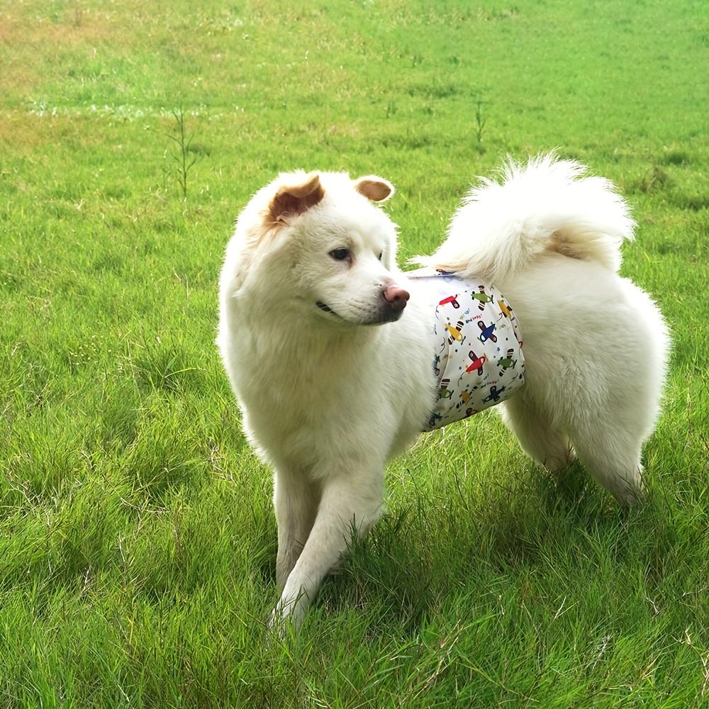 [Reusable Dog Diaper] 1pc Washable Male Dog Belly Bands Reusable Dog Diaper with High Absorbency Liner, Breathable Cloth Underwear for Potty Training