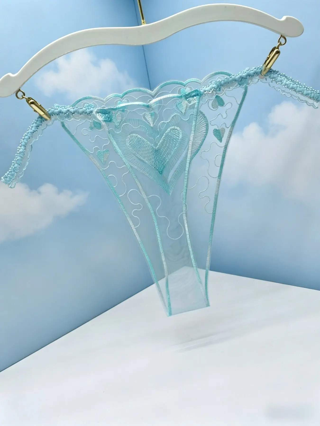 Women's Sexy Breathable Transparent Sheer Lace Embroidered G-String Panties, Heart Pattern Mesh Underwear, Front and Back Design, Elegant Lingerie