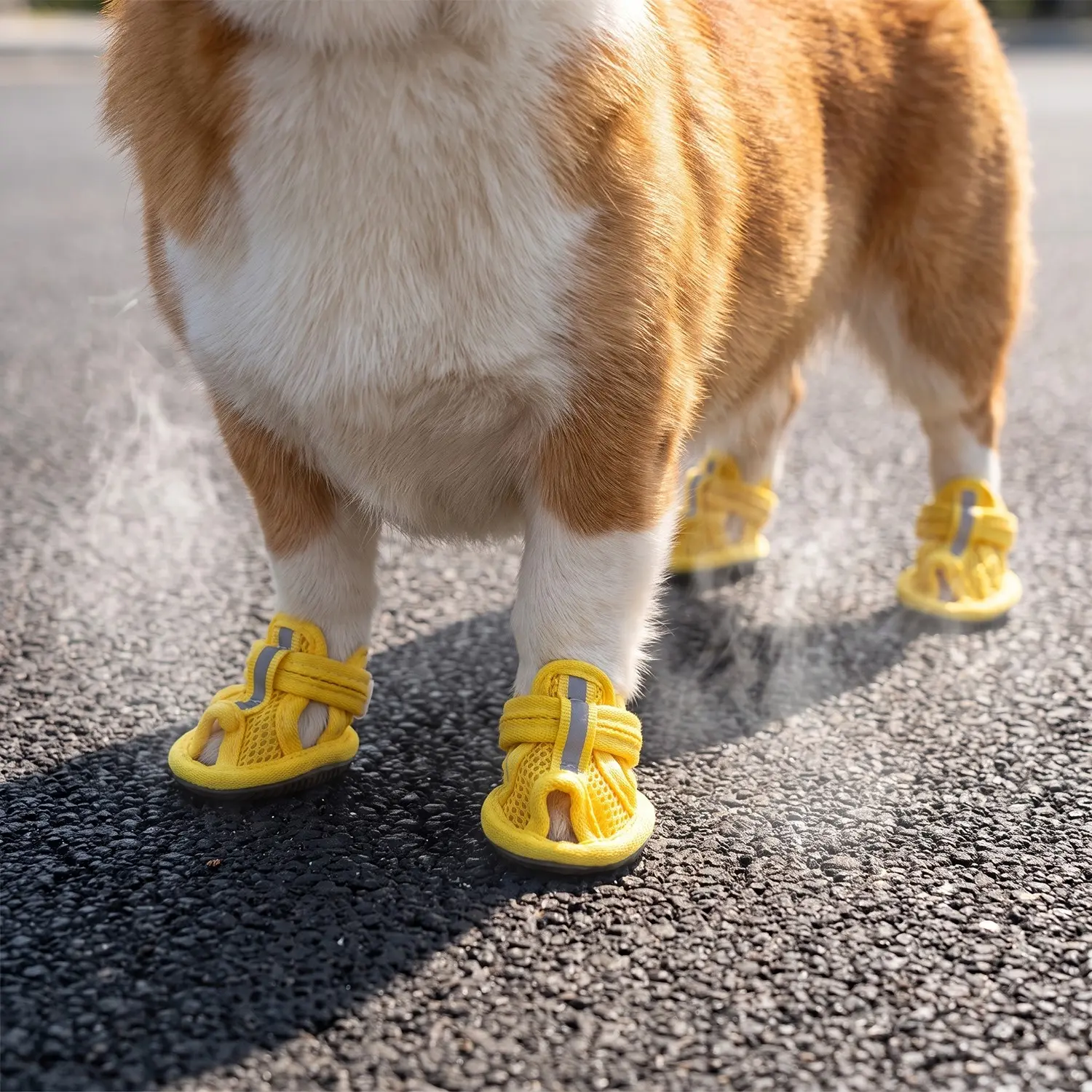 Pet Dog Shoes, Breathable Mesh Anti-Slip Puppies Sandals, Pet Summer Footwear, Cute and Photo-Friendly, Pet Accessories, Puppy Shoes, Paw Protector Booties