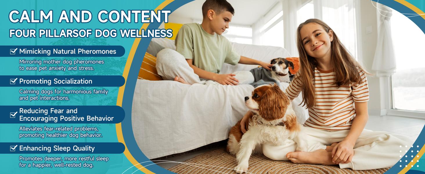 Dog Calming Diffuser - Dog Pheromones Calming Diffuser for Dog Anxiety Relief 6-in-1 Dog Pheromone Diffuser Kit with 2 Diffuser + 4 Refill 48ml Vial - 120 Days Pheromone Diffuser to Calm Dogs