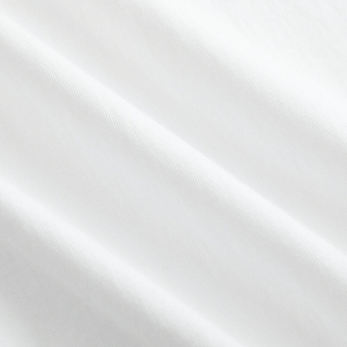 Deftones 1998 Around the Fur 13 Ball Tour T-Shirt Classic Unisex Fit for Men and Women Photorealistic Digital Transfer