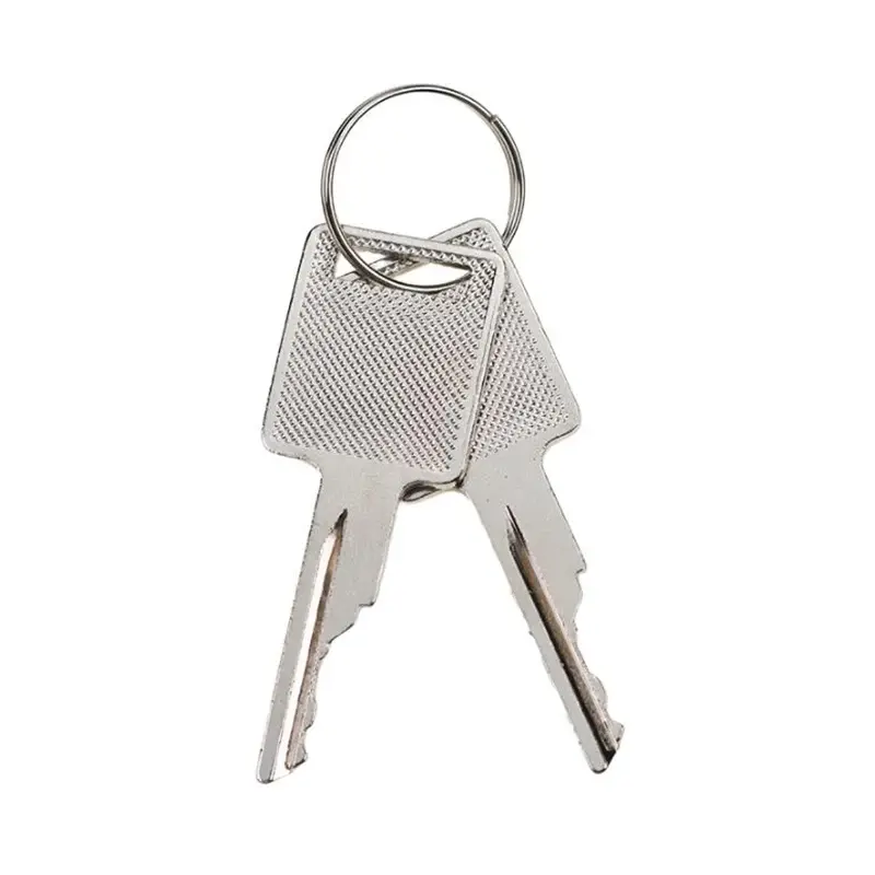 FridayParts 2 PCS D250 Ignition Keys replaces Case A77313 Bobcat 6693241 Ingersol Rand 58917261 JLG 58322 Terex 714602