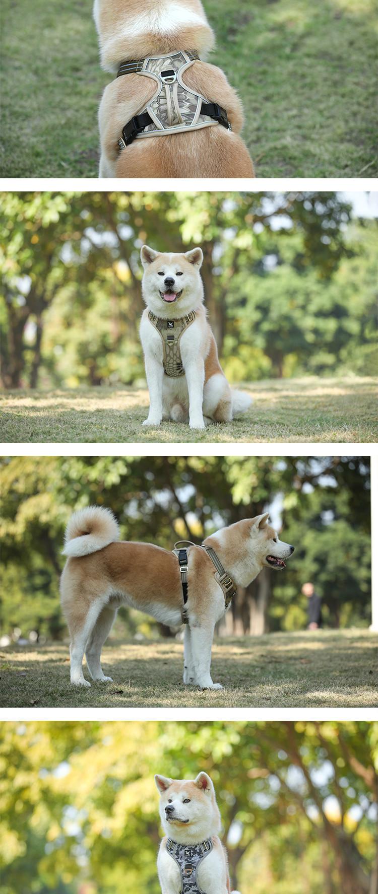 Pet Sports Chest Strap Vertical Handle Dog Traction Vest Explosion-Proof Pet Dog Hand Holding Rope Medium to Large Dogs Golden Retriever Dog Leash Walking Dog Adjustable Chest Strap