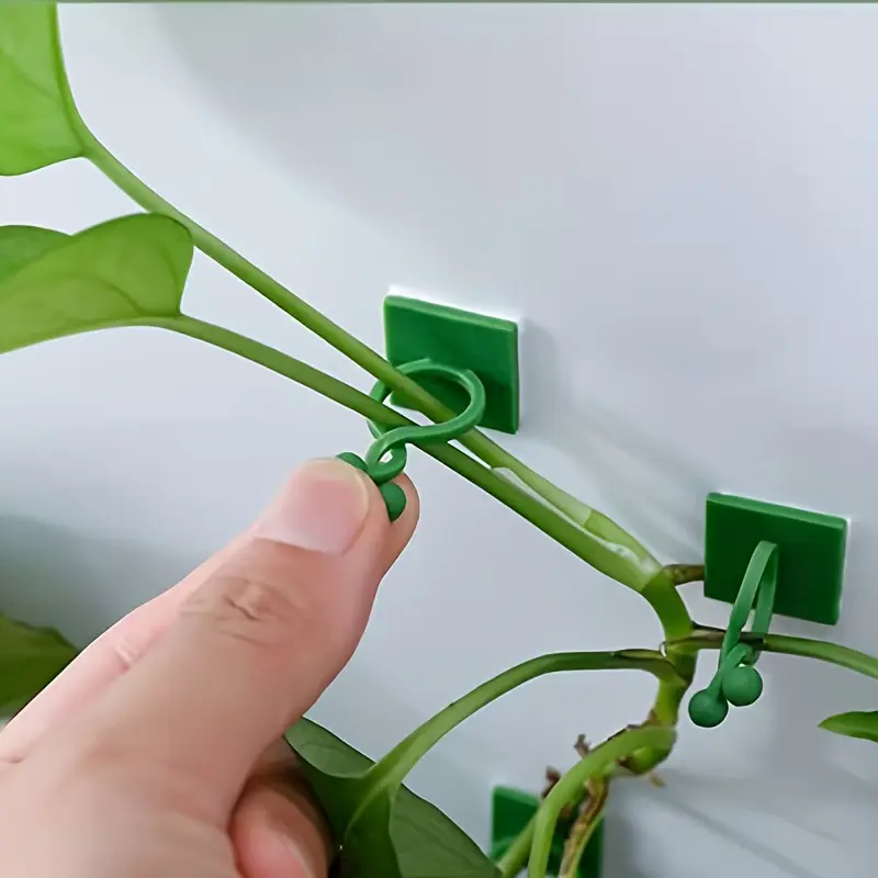 24pcs Self-Adhesive Plant Climbing Wall Fixing Clip, Indoor/outdoor Wall-Mounted Hook, Leaf Design, Mini Plant Wall Clip Bracket, Plant Supplies, Gardening Accessories