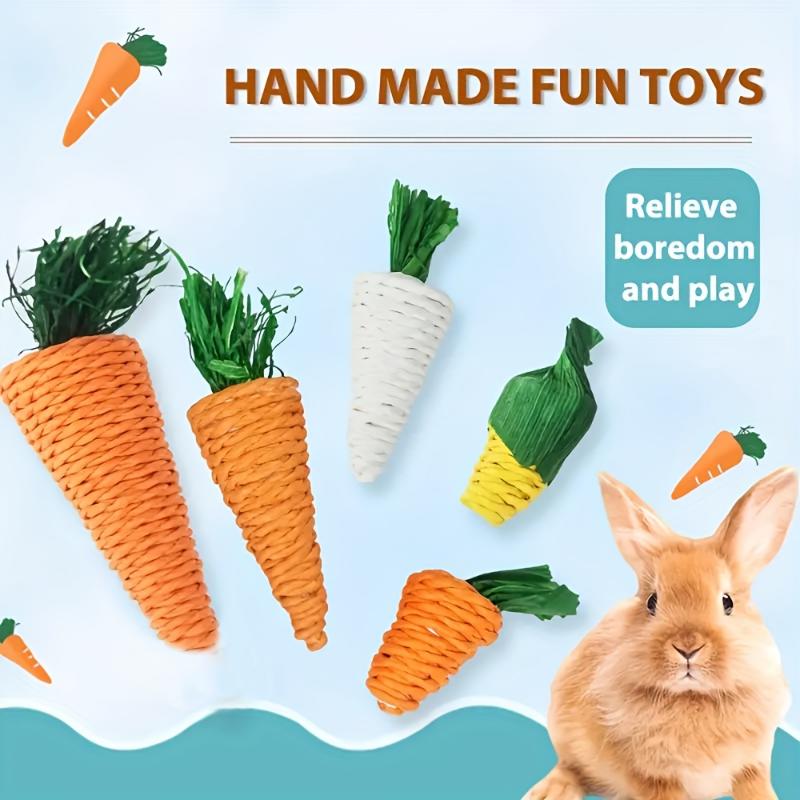 3pcs Creative Chew Toys for Small Pets Hamster Rabbit, Chinchilla Dental Cleaning Toys