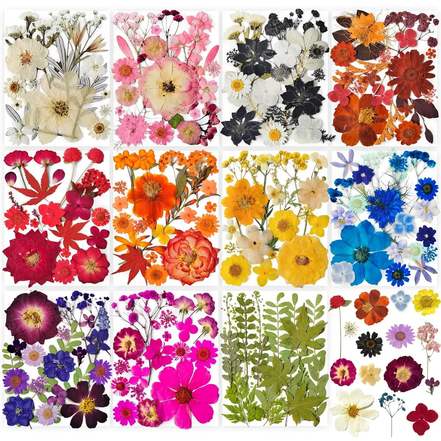 320PCS Dried Pressed Flowers Bulk for Resin, Real Natural Pressing Flowers with Two Sheets Butterfly Stikers for Mold DIY Art Crafts,Home Décor,Cherish