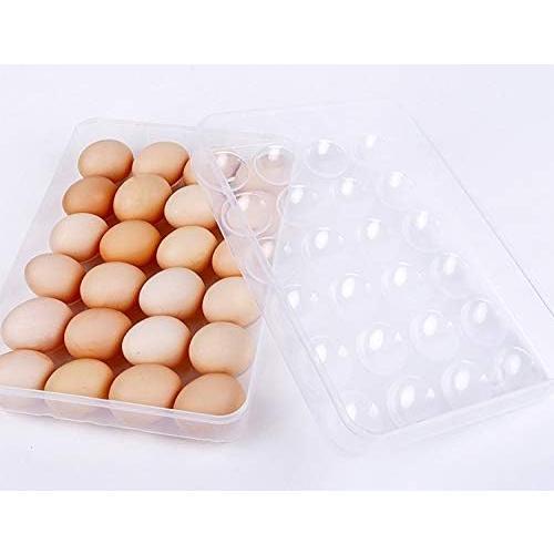2 Pack Covered Egg Holders for Refrigerator,Clear 2X24 Deviled Egg Tray Storage Box Dispenser,Stackable Plastic Egg Cartons,Egg Holder Countertop(48 Eggs)