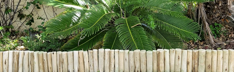 Backyard X-Scapes Natural Eucalyptus Wood Log for Edging Lawn Landscape Fence Borders 72 in L x 6 in H x 1.25 in D