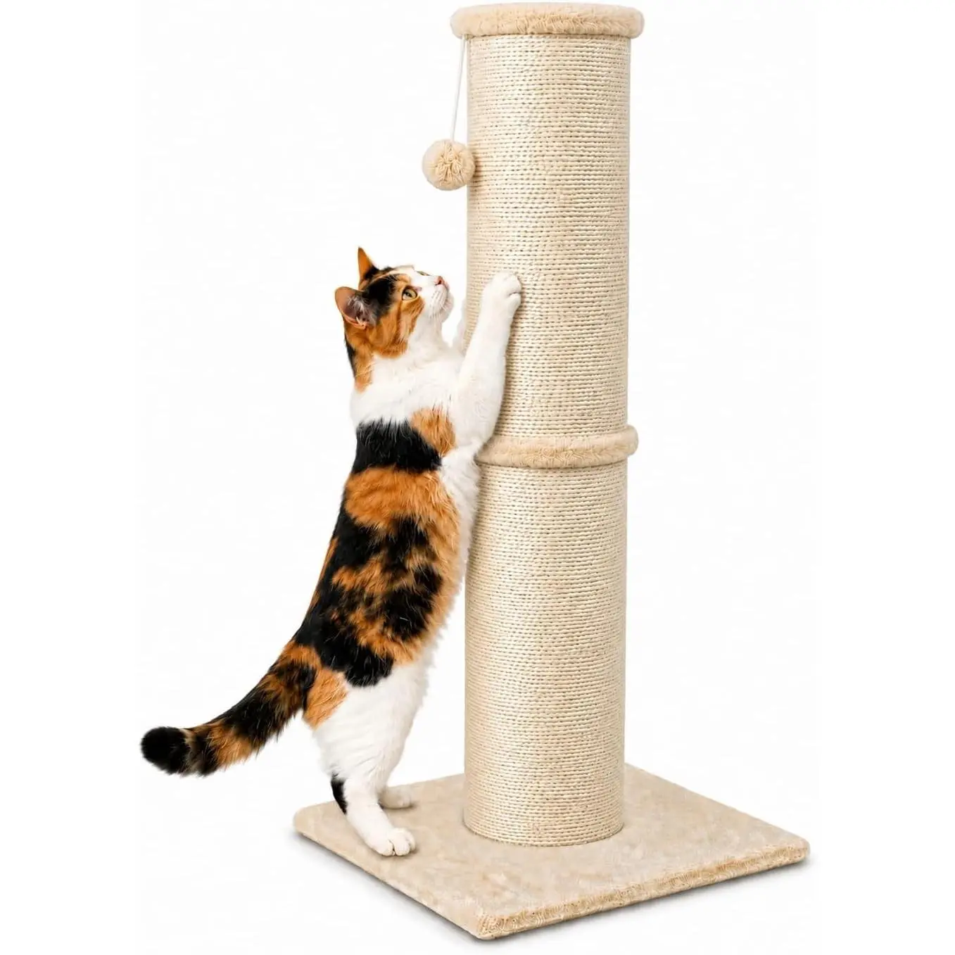 32 Inch High 5.5 Inch Large Diameter Natural Sisal Cat Scratching Post, Scratch-Resistant Durable Tall Cat Scratcher for Indoor Cats, Protect Your Furniture, Beige