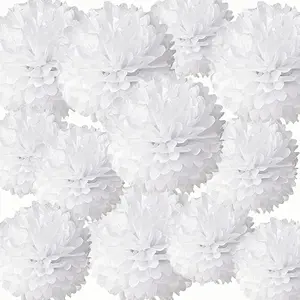 12Pcs White Tissue Paper Pom Poms,Pompoms Flowers for Ceiling Decorations