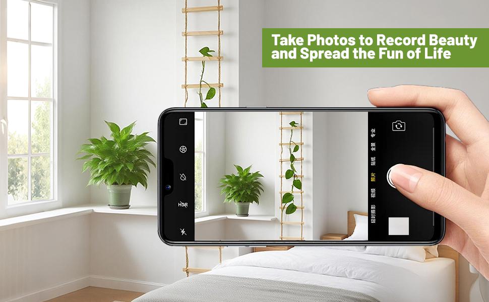 Chain Trellis for Climbing Plants Indoor – Natural Wood Ladder Style Plant for Vines, for Pothos & Ivy, Stylish for Home & Use, Indoor/