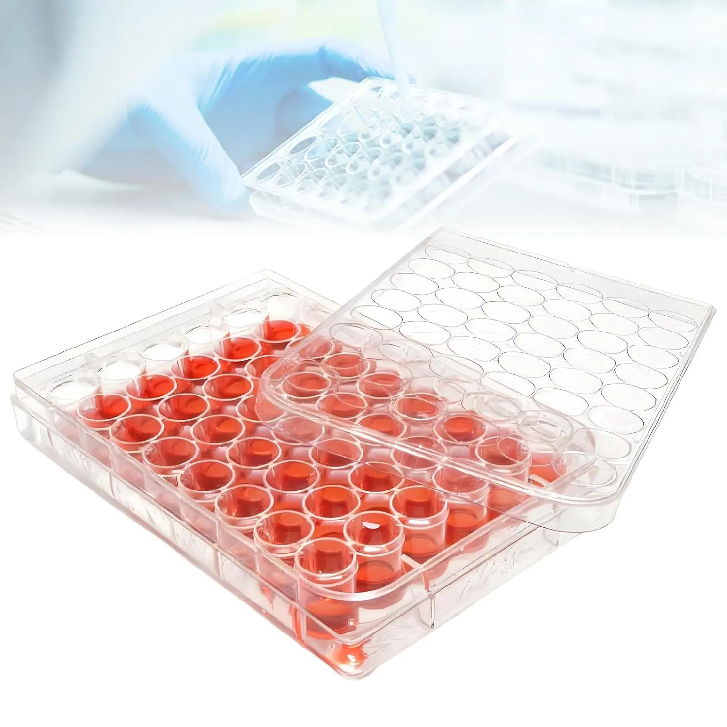 48-Well Culture Plate - Tissue Culture Treated Plate with Lids, Polystyrene, Flat Bottom, Individual Wrapped (Pack of 5)