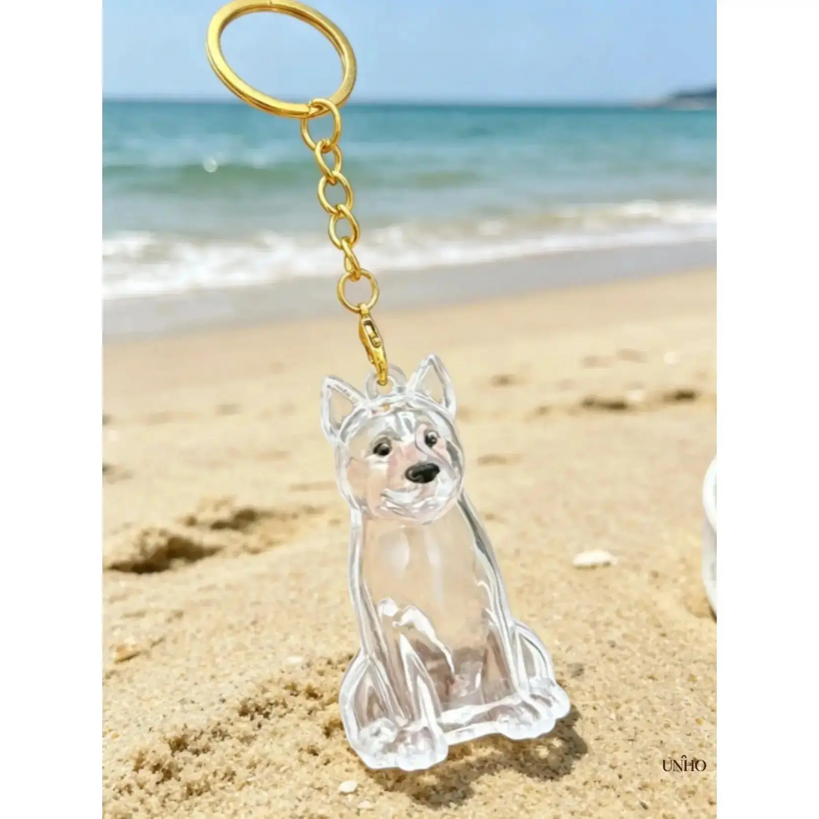 Portable PVC Pet Fur Keepsake Keychain Accessory - Transparent Customizable Dog Hair Storage Charm, Unisex Car Key Rings, Anniversary Memorial Gift for Pet Parents