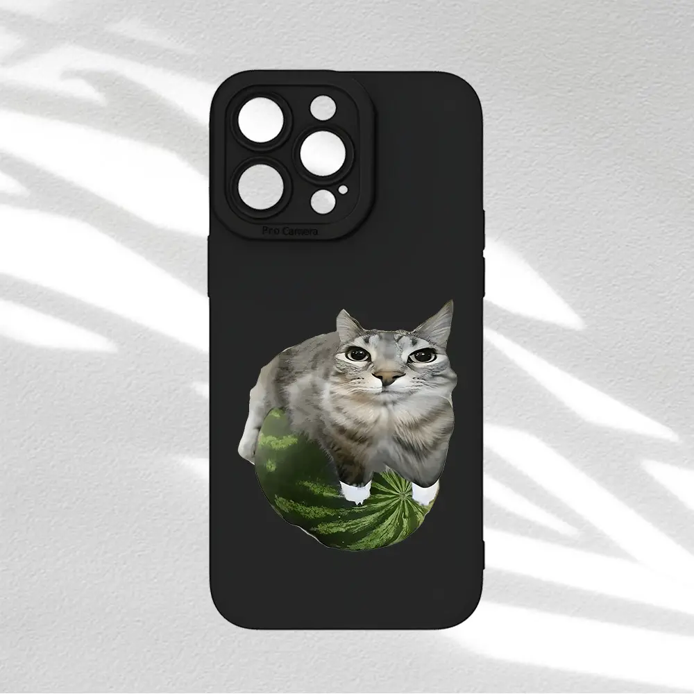 Watermelon Cat Fun Pattern Hot Selling Personalized Creative Cartoon Pattern, Black Angel Eye Matte TPU Phone Case, Suitable for iPhone 17/16/15/14/13/12/11/Plus/Pro/ProMax/Air/X/XS/XSMAX Series, Birthday Gift, Holiday Gift, Couple Phone Case