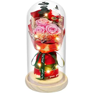 Preserved Flowers in Glass for Her,Pink Real Rose Bouquet with LED Light,Eternal Rose for Women,Wife,Mom,Grandma as Anniversary Birthdays Christmas Valentine's Day Mother's Day,Forever Flowers