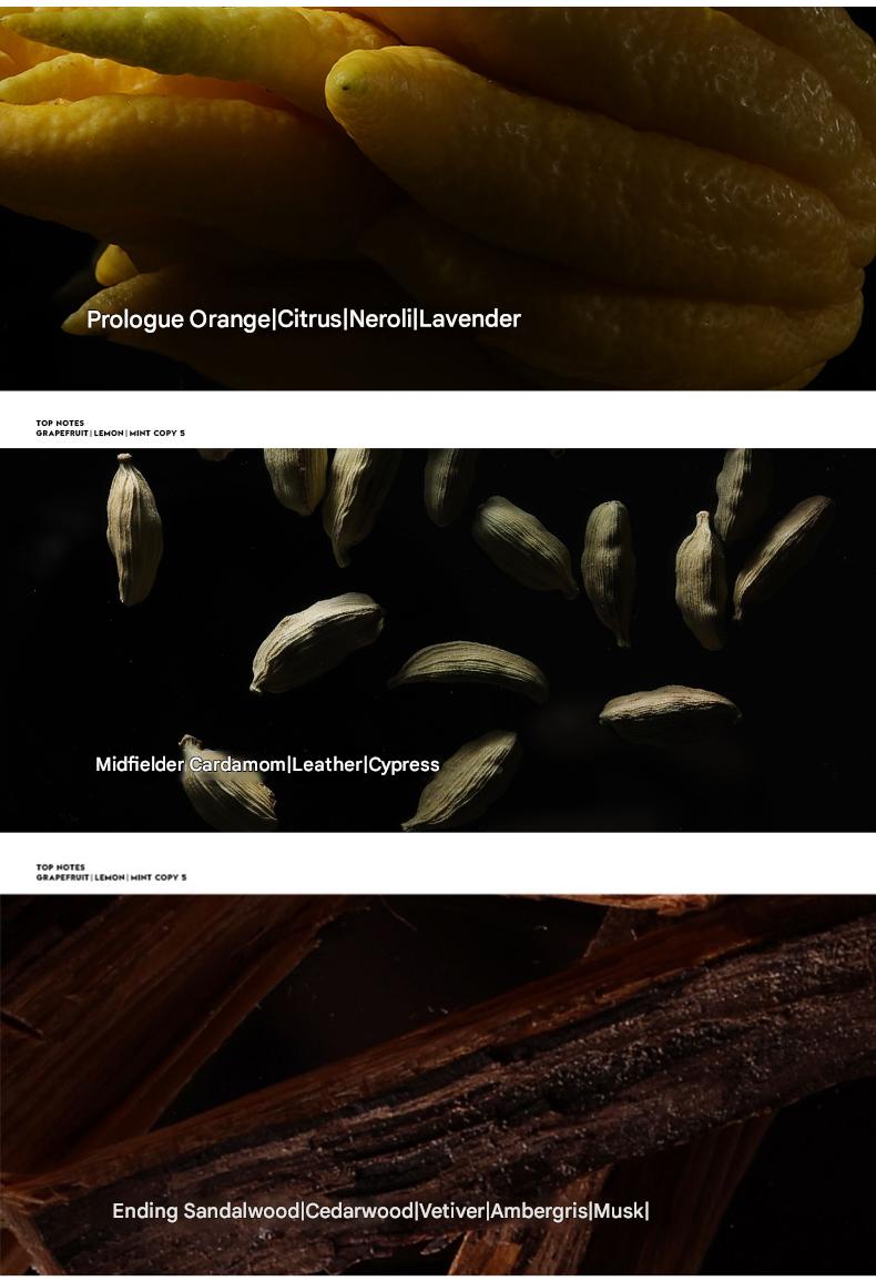 3-Piece Long-Lasting Men's Cologne Trio: Ocean,Cedarwood & Amber Travel-Size 30ml Valve Gift Set