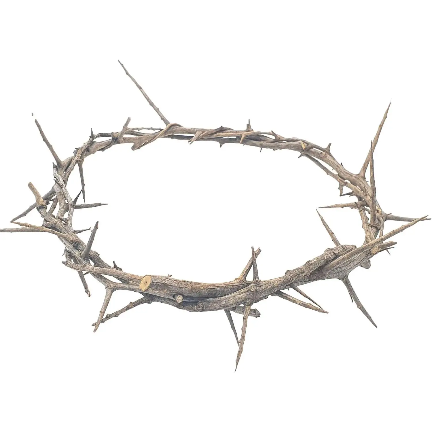 Jerusalem Authentic Biblical Lifesize Real Crown of Thorns with Box & Zuluf Certificate | Religious Easter Wreath Home Décor Tree Topper | Jesus Christ Wall Decor Christmas Christian Gifts| HLG214