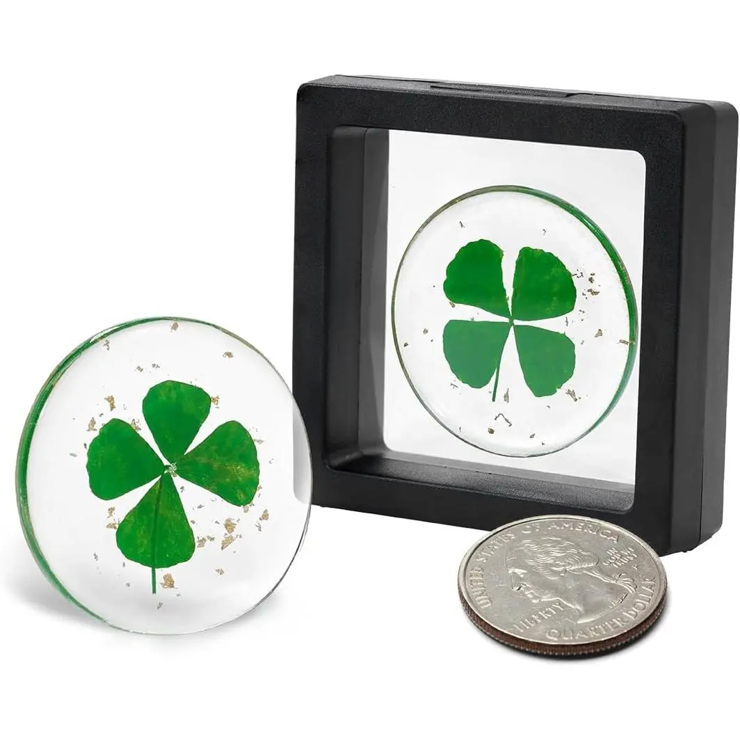 Real Four Leaf Clover, Authentic 4 Leaf Clover  Luck Charm 1.25”, Ideal for Gifts, Lucky Charm Clover For Family (Including  Leaf) (Classic)