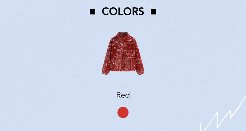 Cider Fleece Stand Collar Paisley Print Oversized Jacket