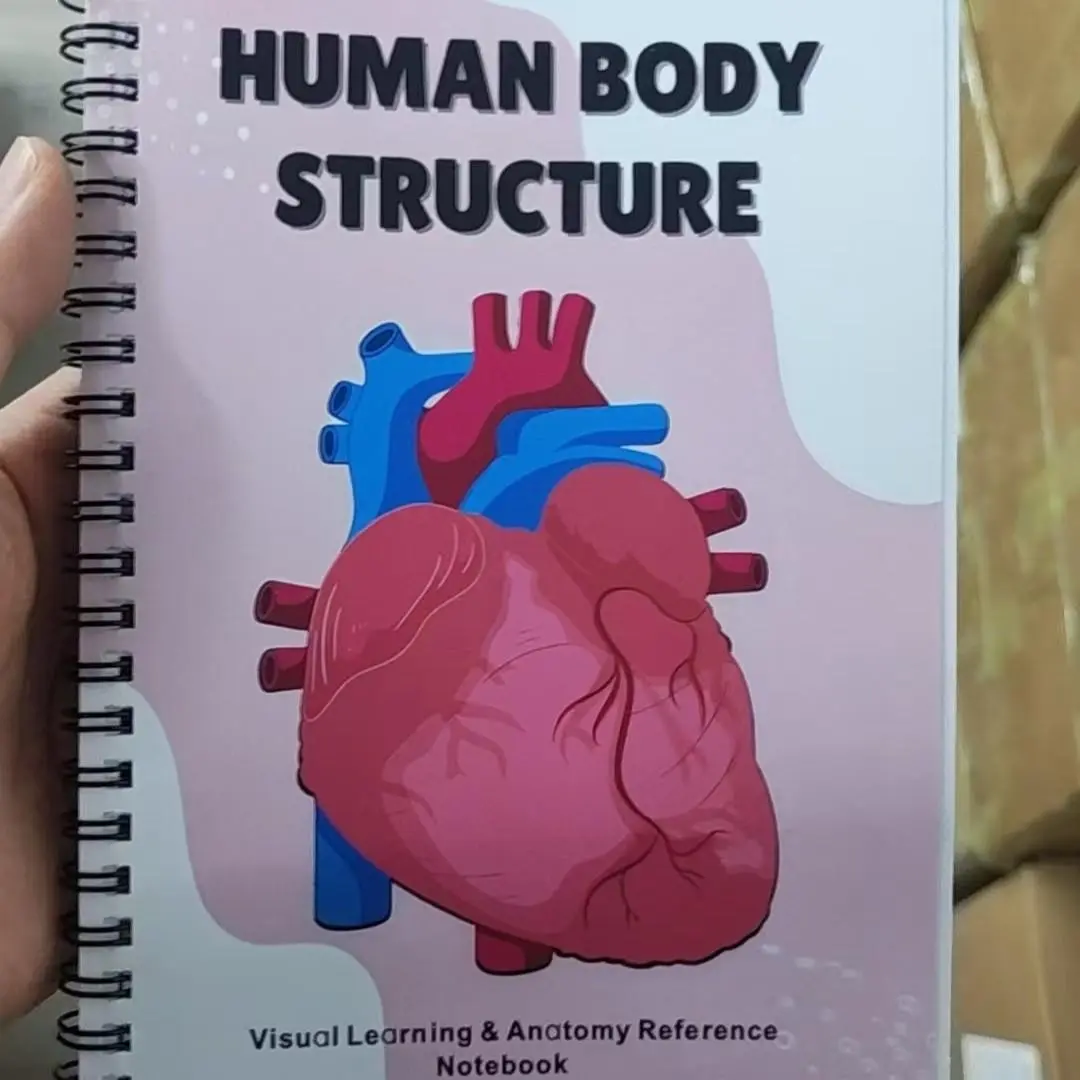 Soft and Background Design, /blue Heart Accents, Fresh and Professional Style, Not Traditional Medical Textbook Look