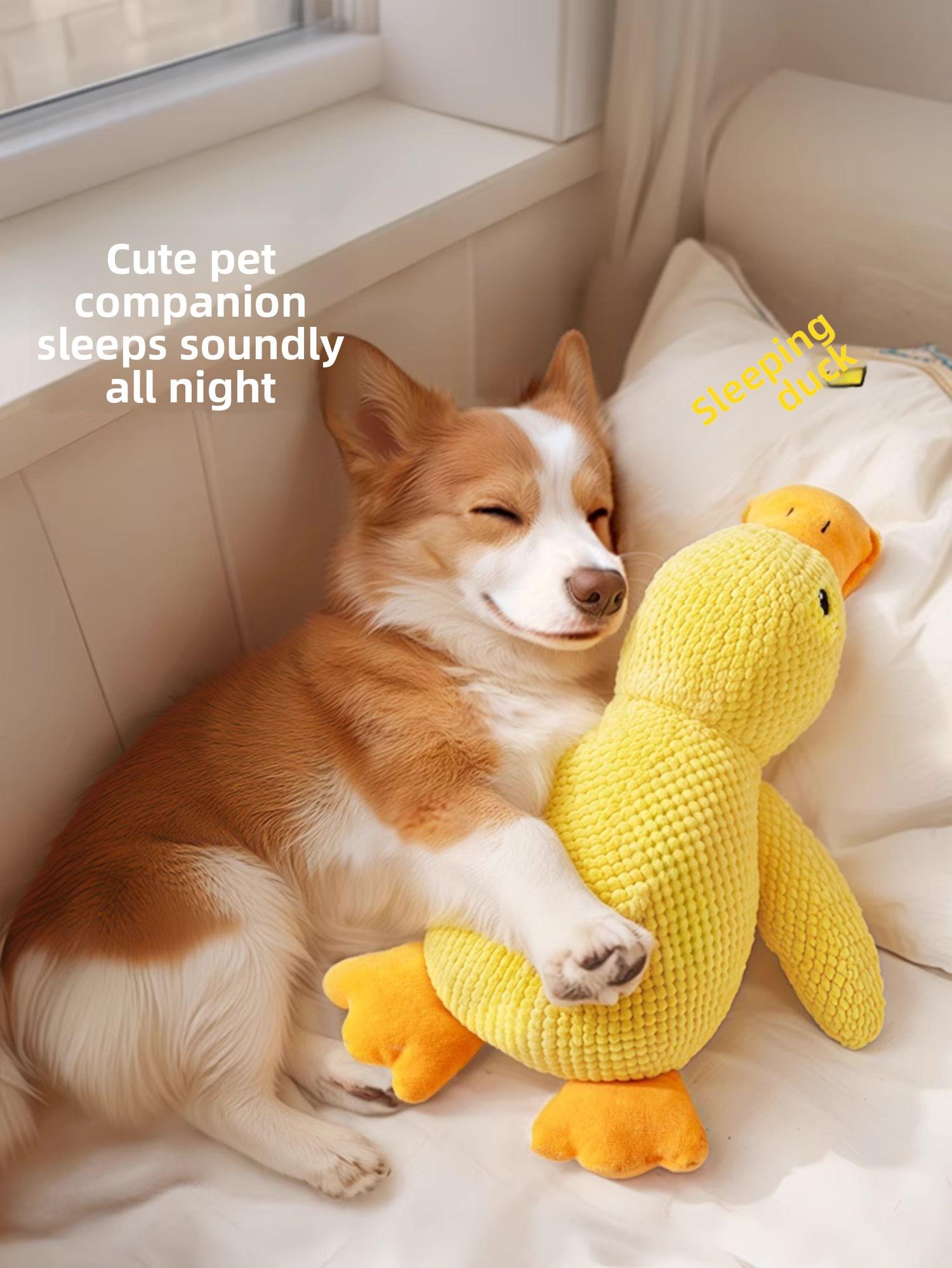 Self-Play Squeaky Plush Dog Toy – Indestructible Chew Toy for Large Breeds, Boredom Buster with Grinding Teeth Design Self-Play Squeaky Plush Dog Toy – Indestructible Chew Toy for Large Breeds, Boredom Buster with Grinding Teeth Design