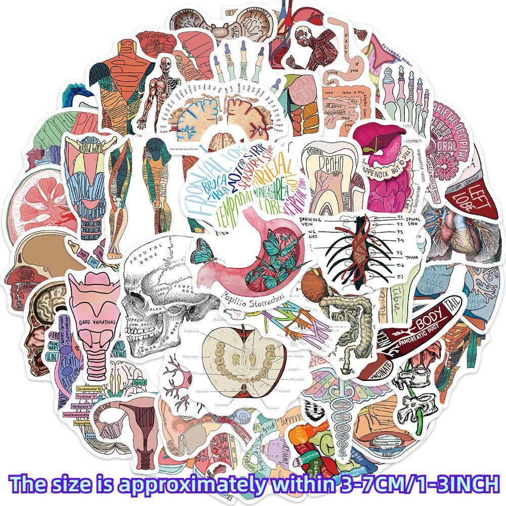 Organ Body Parts Series Graffiti Sticker, 50pcs/set Waterproof Self Adhesive Decor Paper, Decor Sticker for Gift Greeting Card Water Bottle Laptop Phone