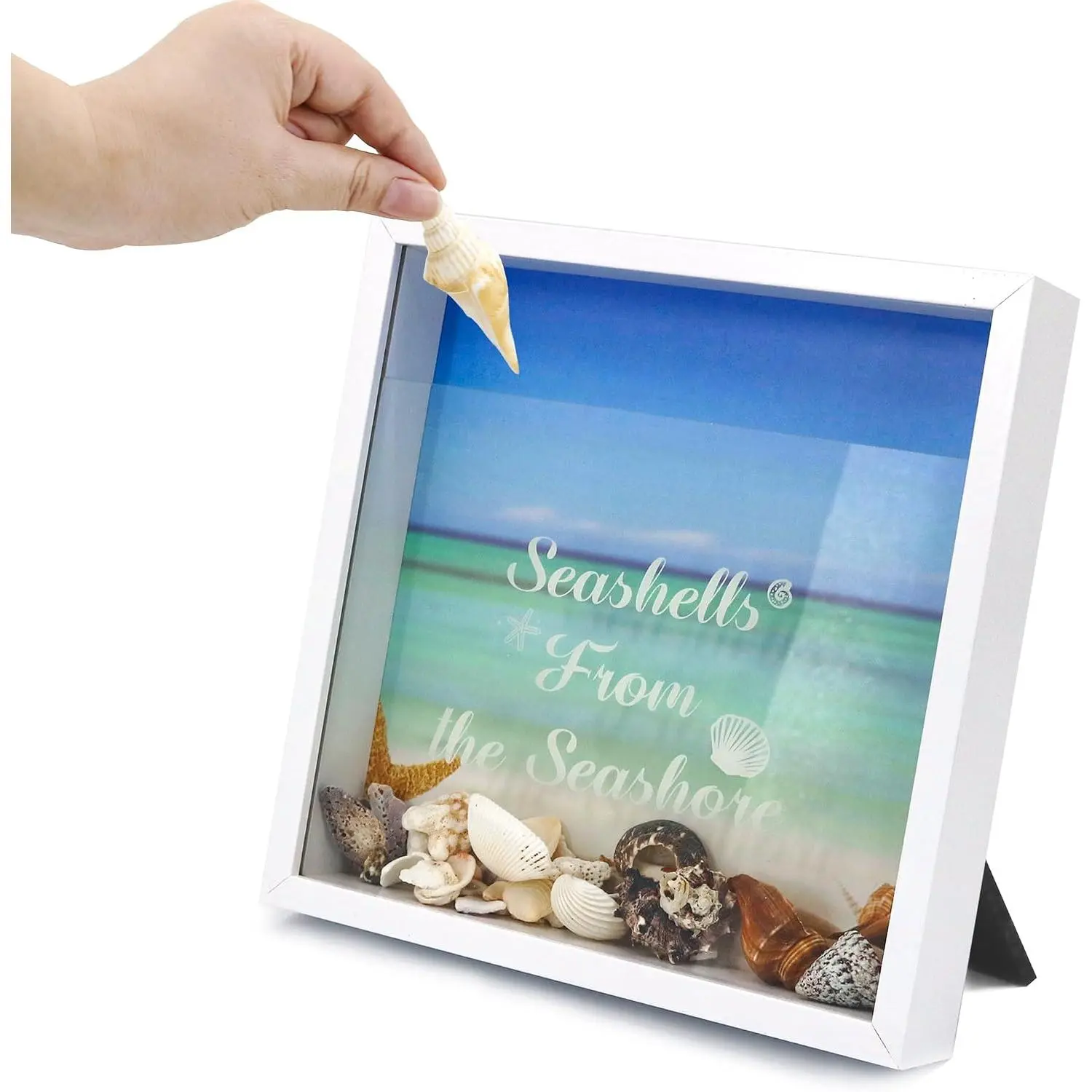 8x8 Glass Travel Memory Shadow Box Frame with Slot, Wall-Mountable Window Home Decor (Black)