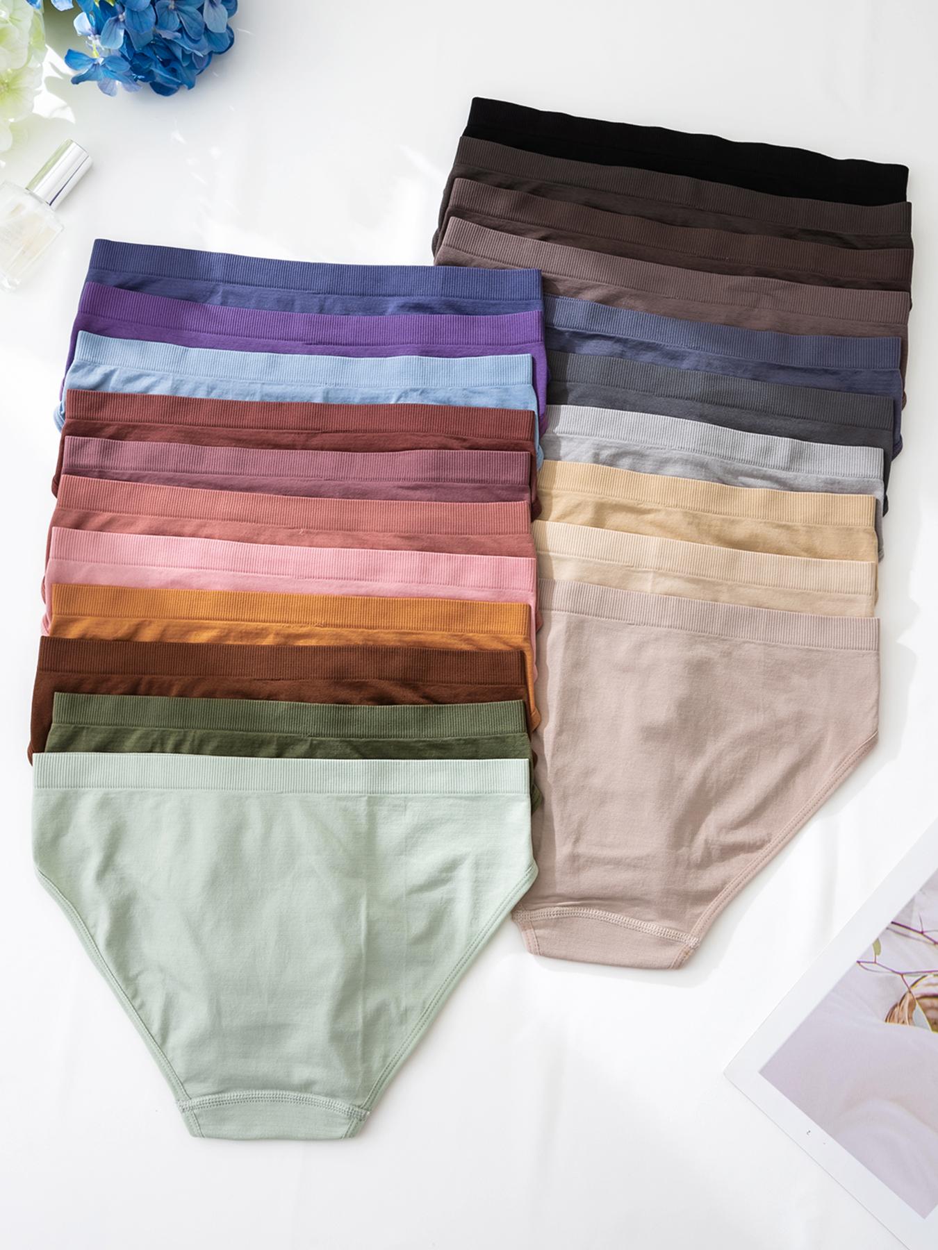 Women's Solid Color Brief, Elegant Soft Comfy Breathable Panty for Daily Wear, Underwear for All Seasons, Womenswear, Casual Comfy Panty, Soft Comfy Panties, Seamless Panties, Minimalist Soft Panties, Soft Breathable Knicker, Seamless Panties Set