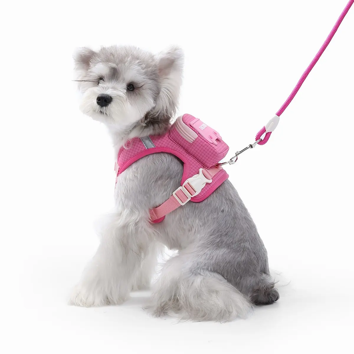Pet Harness Backpack for Cats and Small Dogs, Mini Carry-On Bag with Adjustable Straps and Reflective Edges, Outdoor Travel Hiking Walks